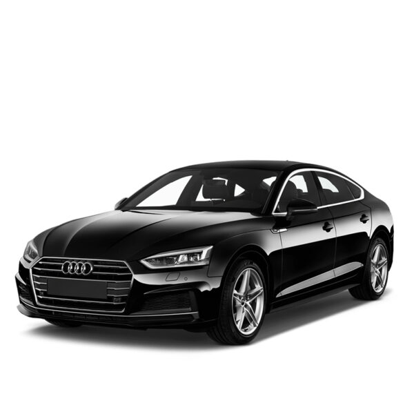 Audi-g-tron Mileage-adjustment-tool