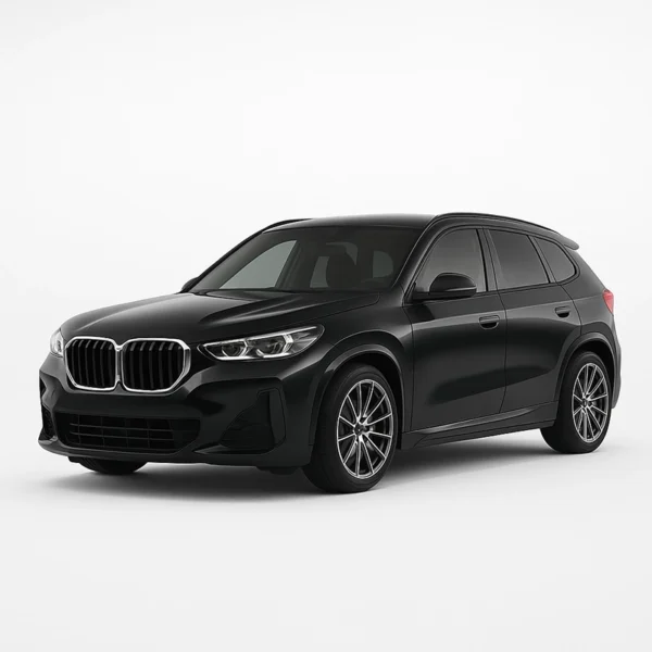 Mileage Blocker for BMW X1, iX1 U11 BMW X1/iX1 U11 Mileage Blocker