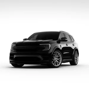 Ford Everest (3rd GEN.) Speedometer Calibration Device