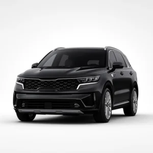 KIA Sorento MQ4 Speedometer Calibration Device