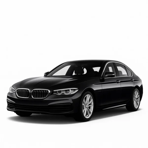 Speedometer Calibration Device for BMW 5ER F07, F10, F11 BMW 5ER F07/F10/F11 Speedometer Calibration Device