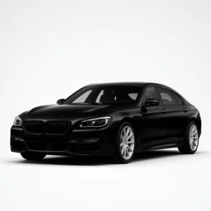 BMW 6ER F12/F13 Speedometer Calibration Device