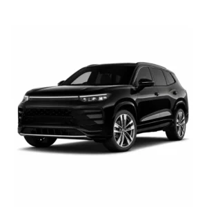 VOLKSWAGEN Tayron Memory Module Product